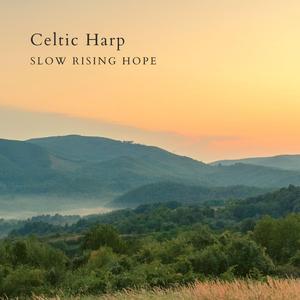 国内精品免费网站牛牛
